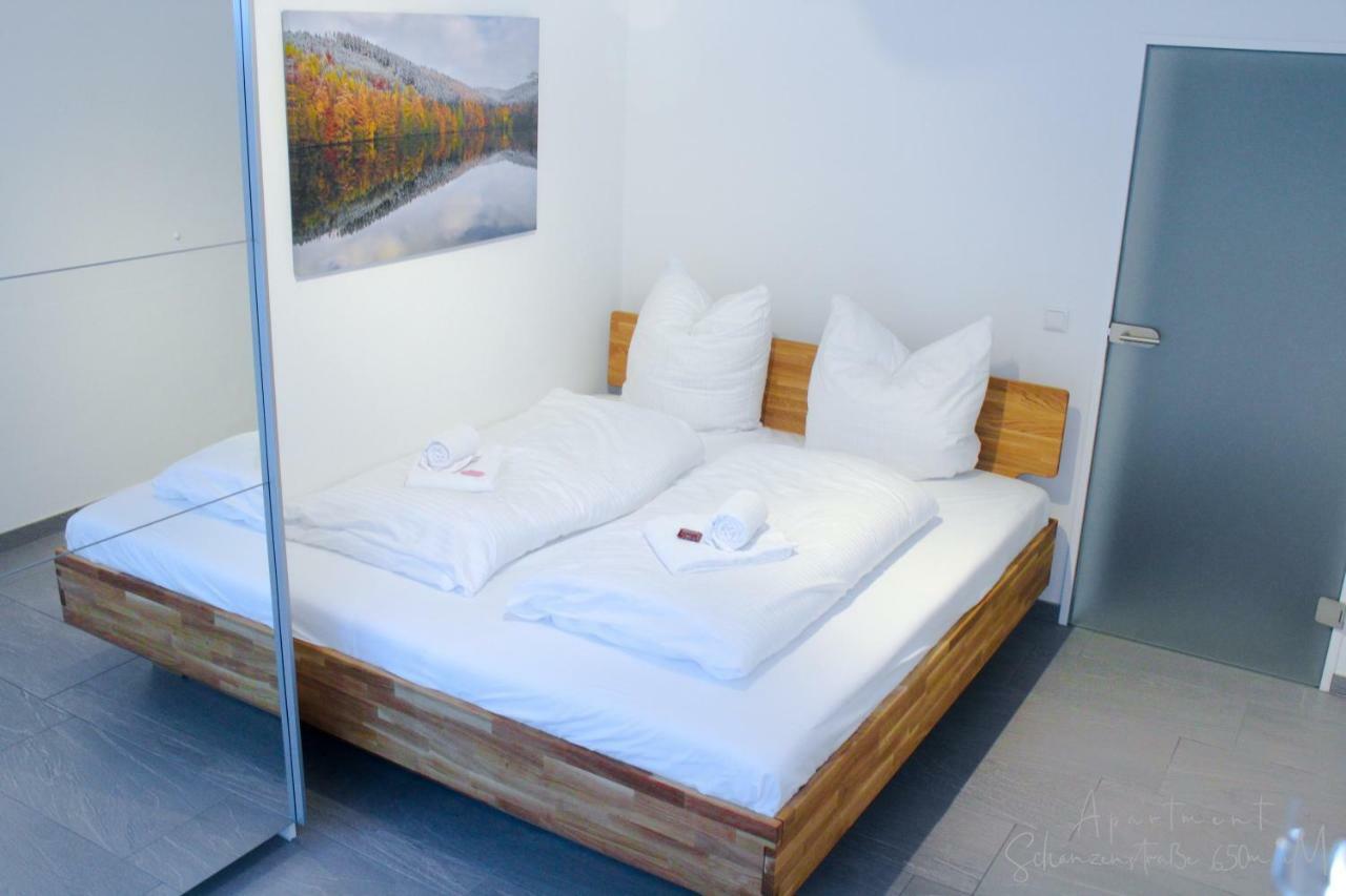 Apartment Schanzenstrasse 690 M Ue. M Winterberg Kültér fotó