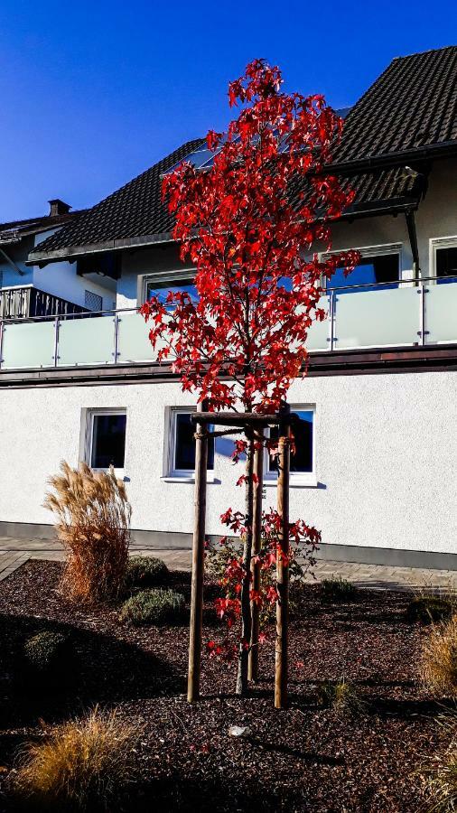 Apartment Schanzenstrasse 690 M Ue. M Winterberg Kültér fotó